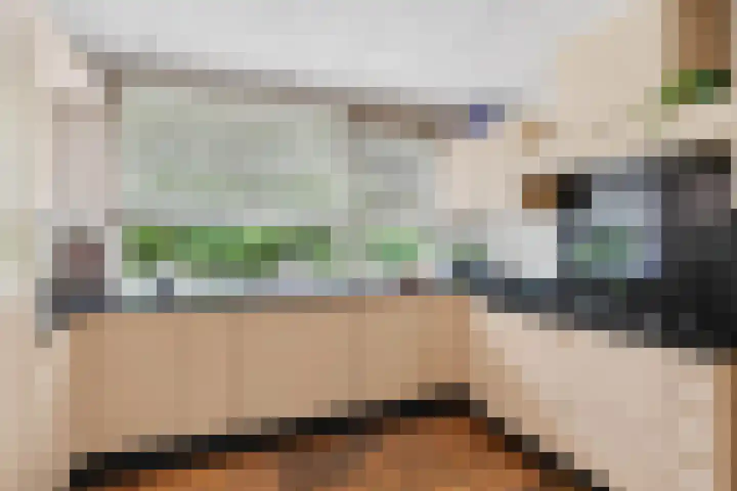 Bisschopsberg 12 Zoetermeer thumbnail 16