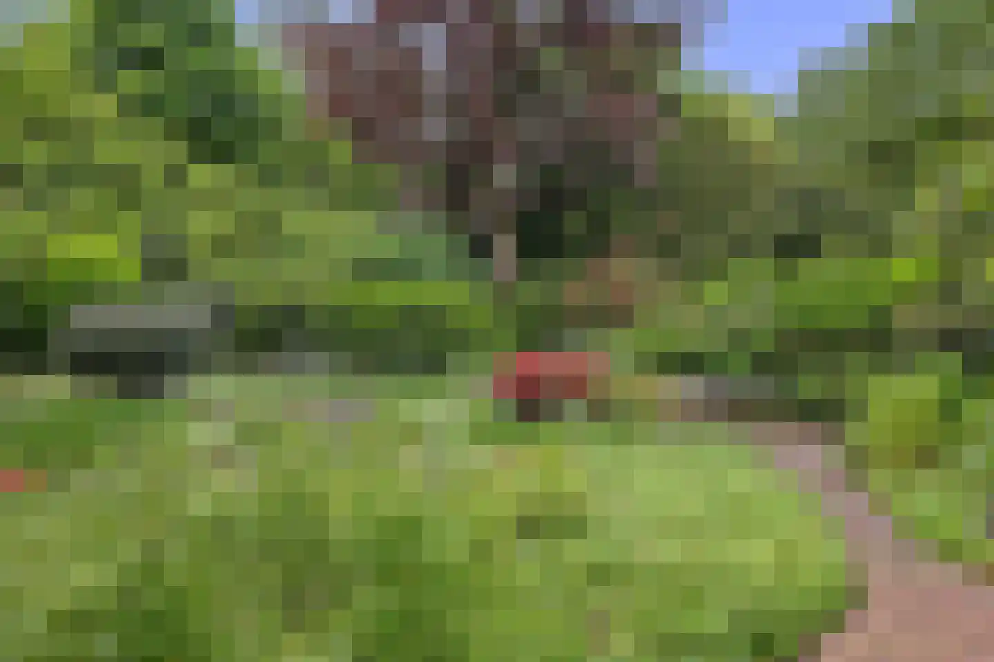 Bisschopsberg 12 Zoetermeer thumbnail 23
