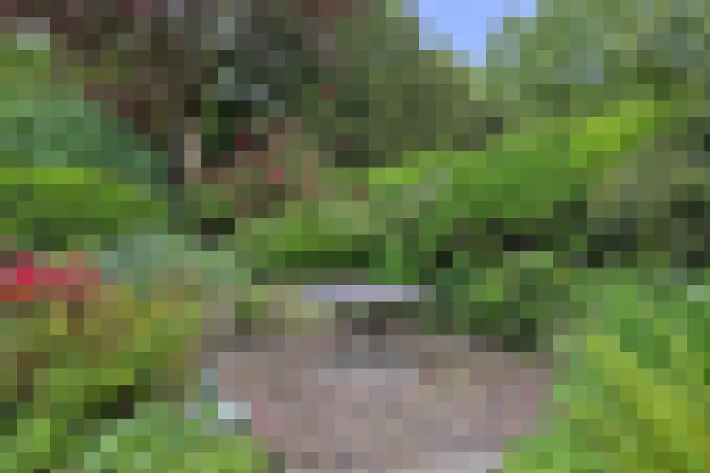 Bisschopsberg 12 Zoetermeer thumbnail 25