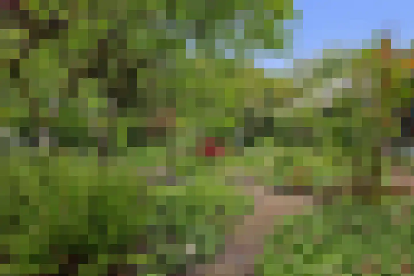 Bisschopsberg 12 Zoetermeer thumbnail 27
