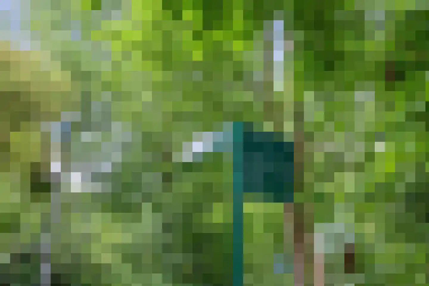 Bisschopsberg 12 Zoetermeer thumbnail 33