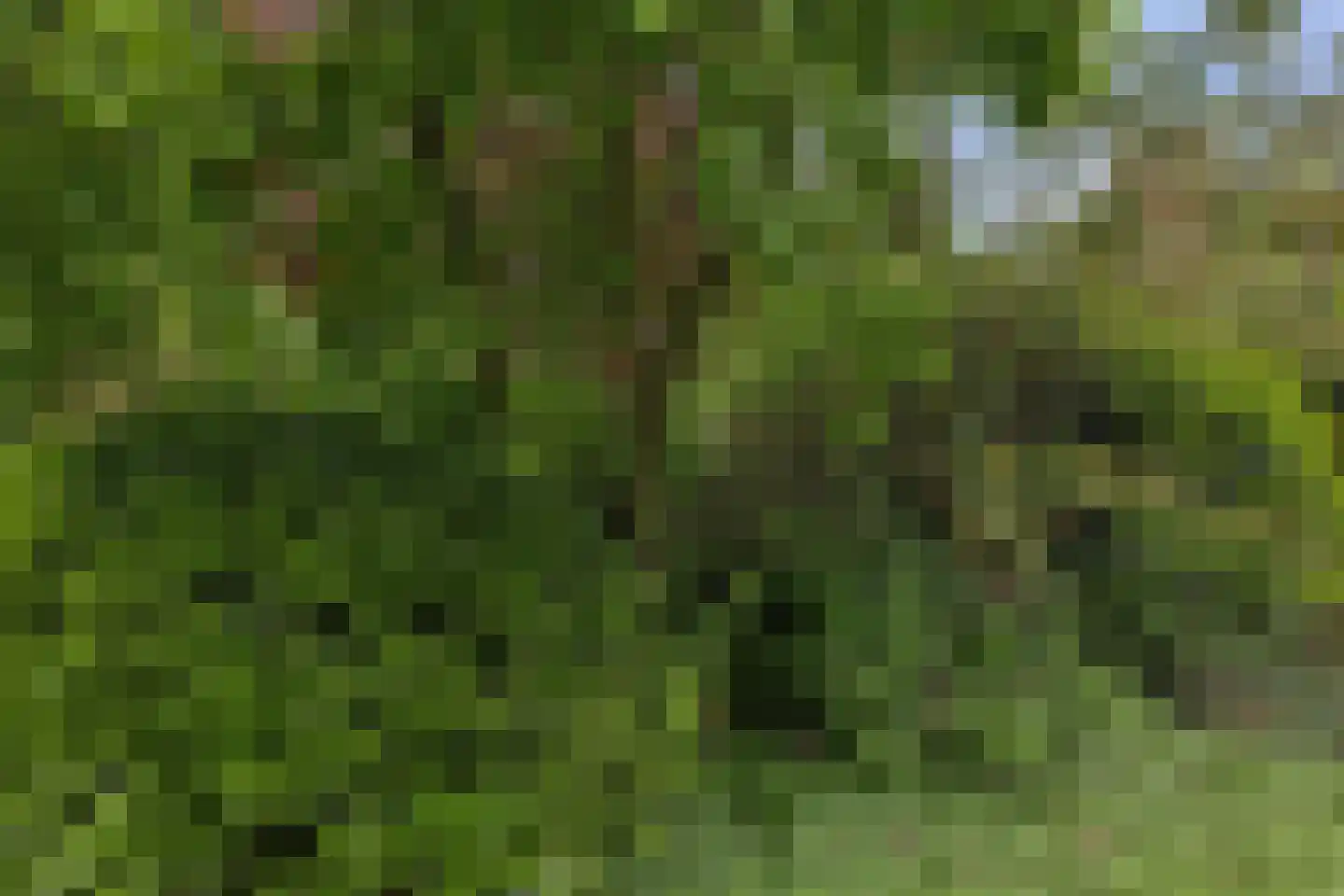 Bisschopsberg 12 Zoetermeer thumbnail 34
