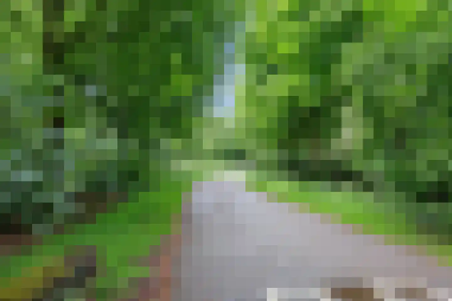 Bisschopsberg 12 Zoetermeer thumbnail 36