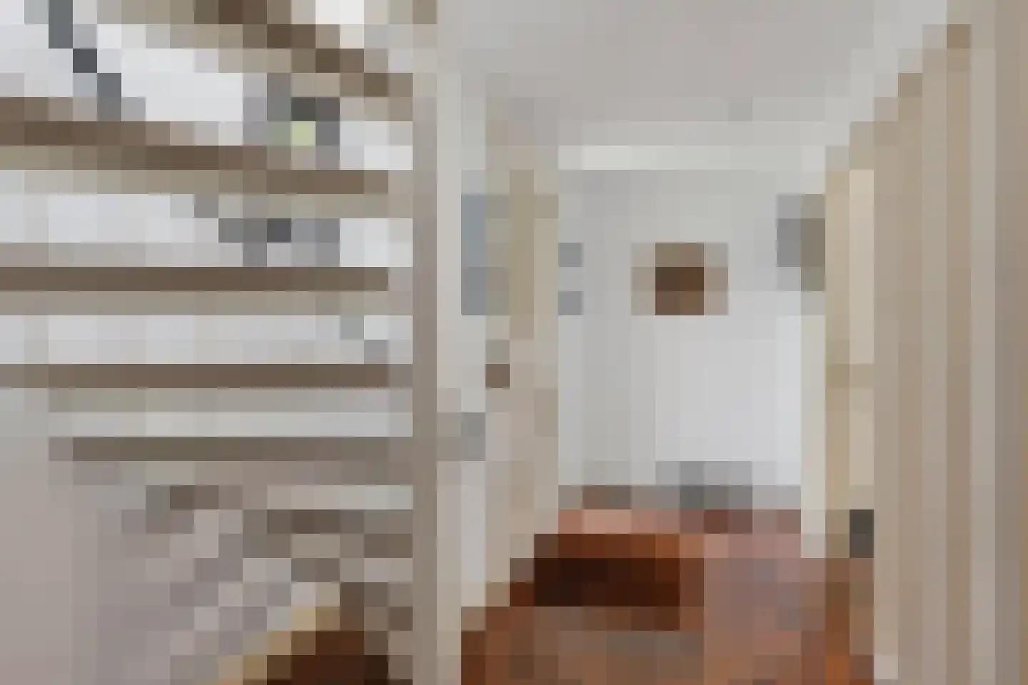 Bisschopsberg 12 Zoetermeer thumbnail 9