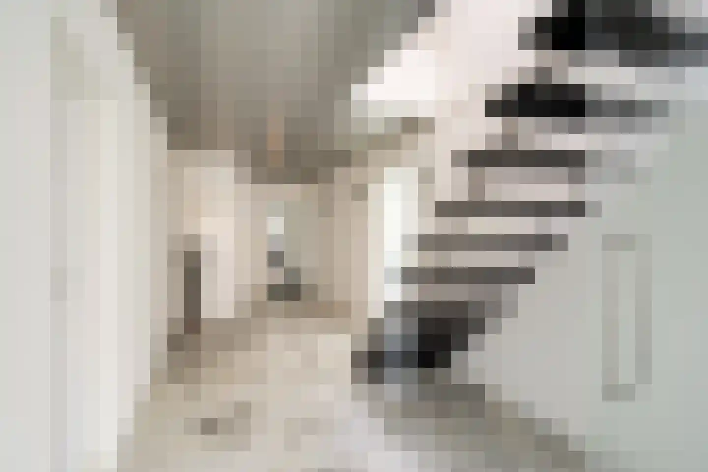 Bisschopsberg 4 Zoetermeer thumbnail 10