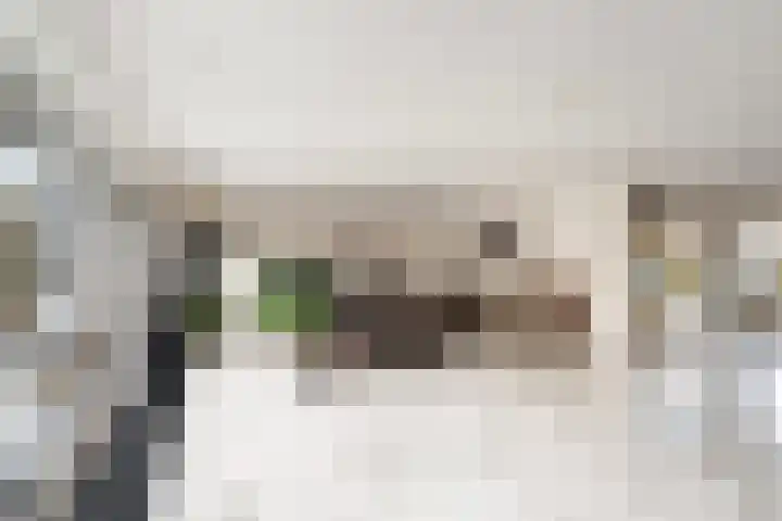 Bisschopsberg 4 Zoetermeer thumbnail 11