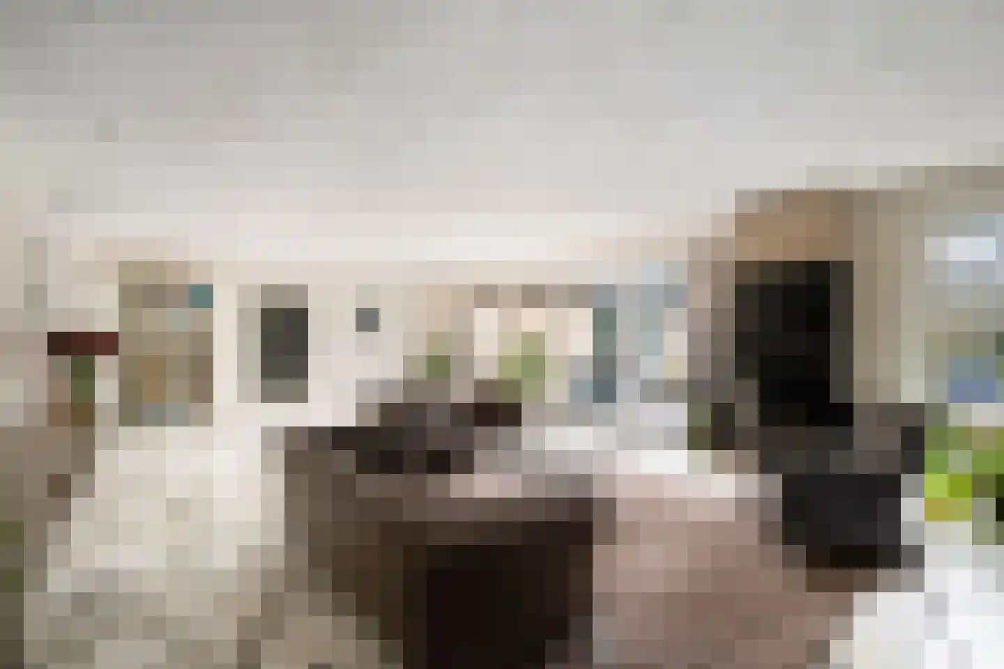 Bisschopsberg 4 Zoetermeer thumbnail 13