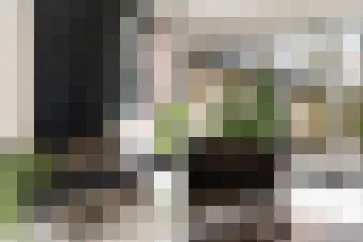 Bisschopsberg 4 Zoetermeer thumbnail 14