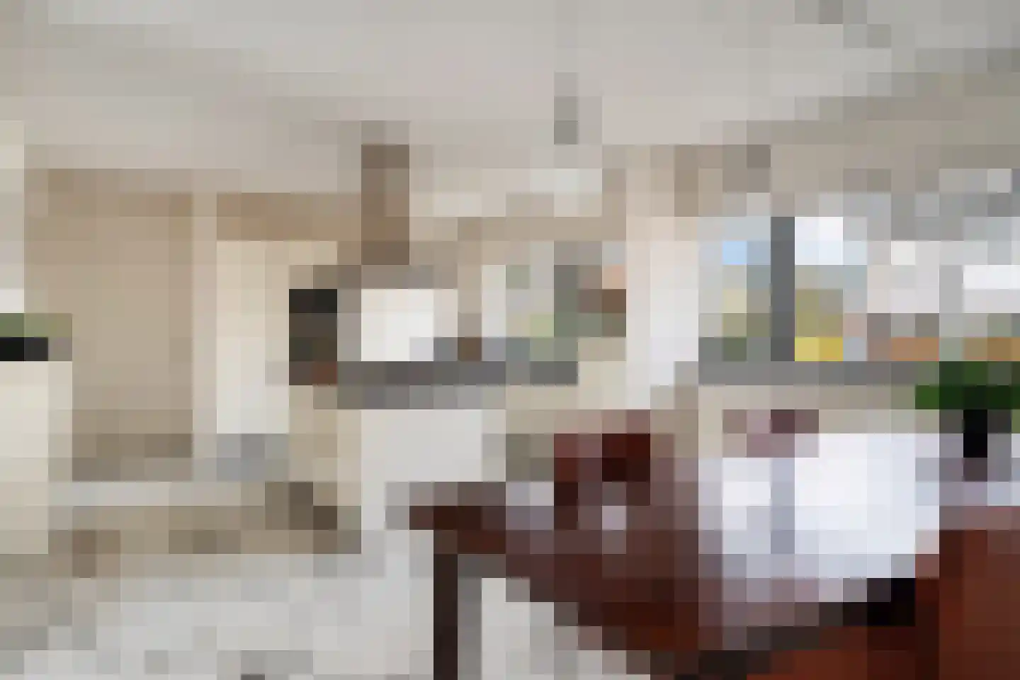 Bisschopsberg 4 Zoetermeer thumbnail 22