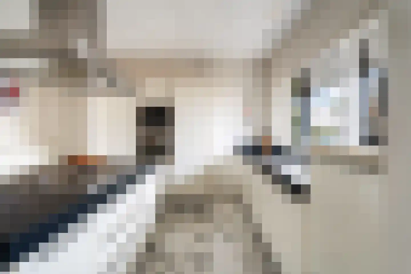 Bisschopsberg 4 Zoetermeer thumbnail 24