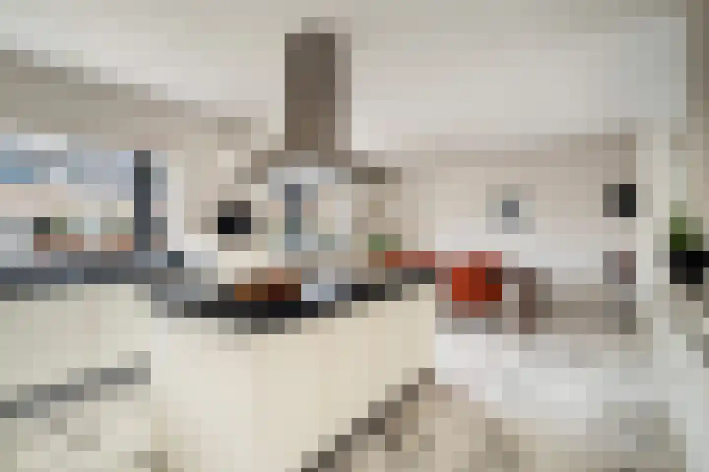 Bisschopsberg 4 Zoetermeer thumbnail 26