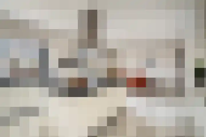 Bisschopsberg 4 Zoetermeer thumbnail 26
