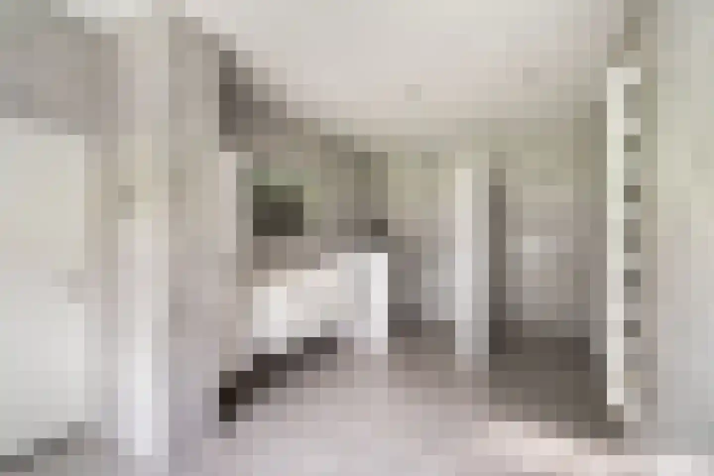Bisschopsberg 4 Zoetermeer thumbnail 30