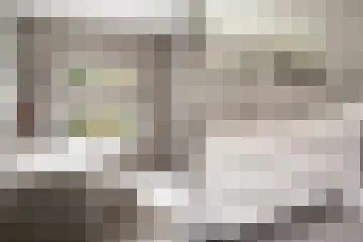 Bisschopsberg 4 Zoetermeer thumbnail 31