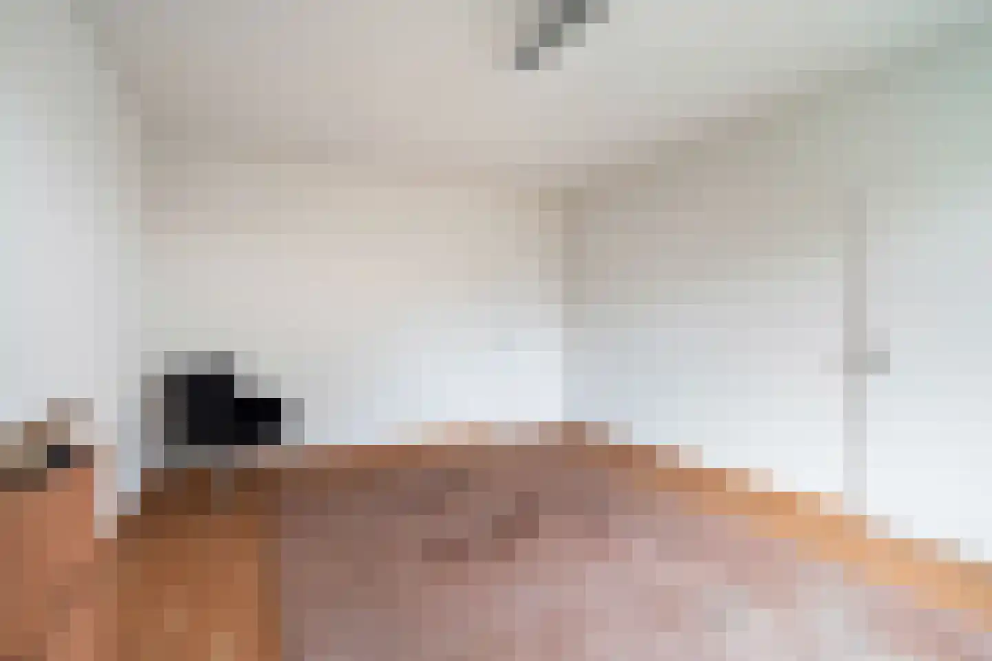 Bisschopsberg 4 Zoetermeer thumbnail 34