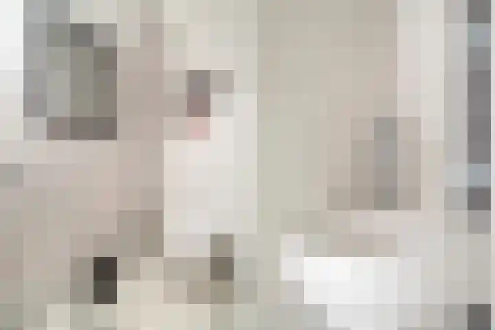 Bisschopsberg 4 Zoetermeer thumbnail 43