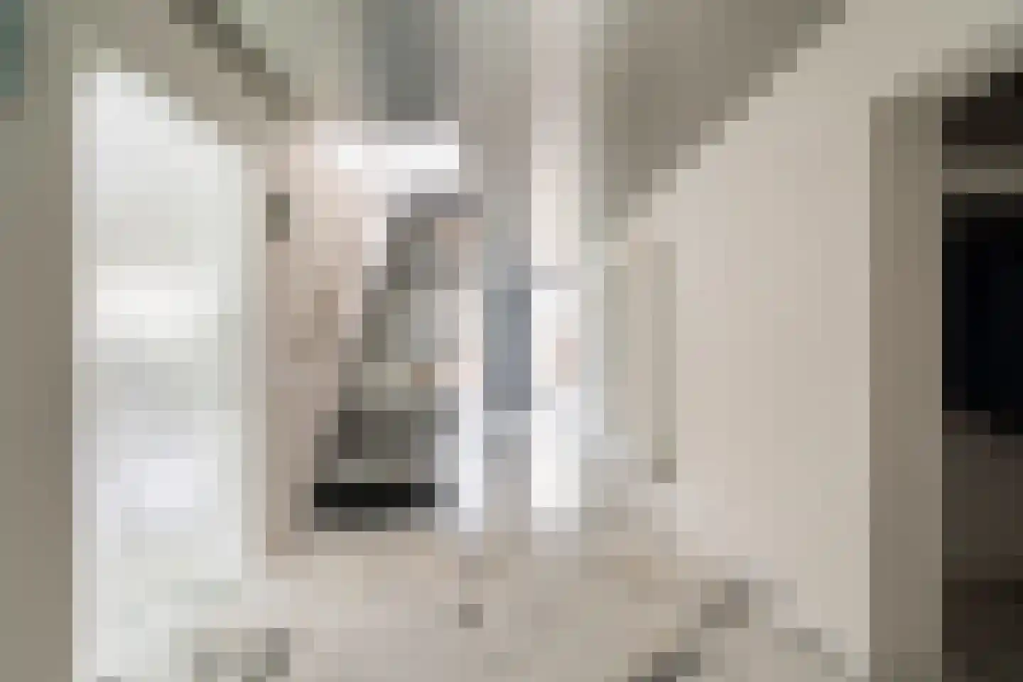 Bisschopsberg 4 Zoetermeer thumbnail 44