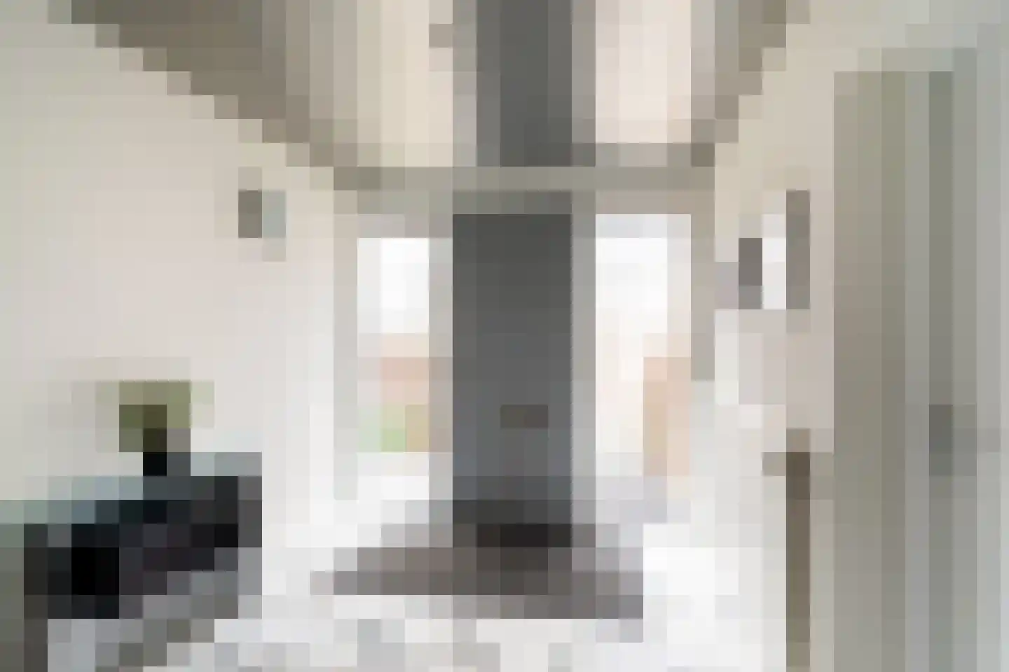 Bisschopsberg 4 Zoetermeer thumbnail 47