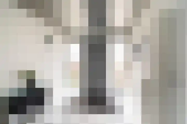 Bisschopsberg 4 Zoetermeer thumbnail 47