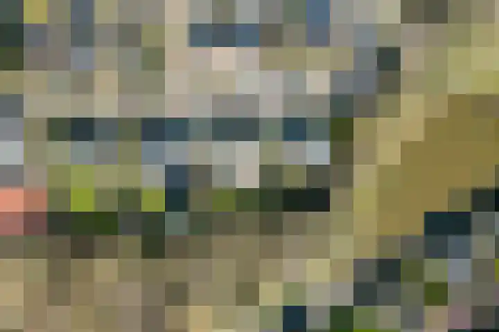 Bisschopsberg 4 Zoetermeer thumbnail 55