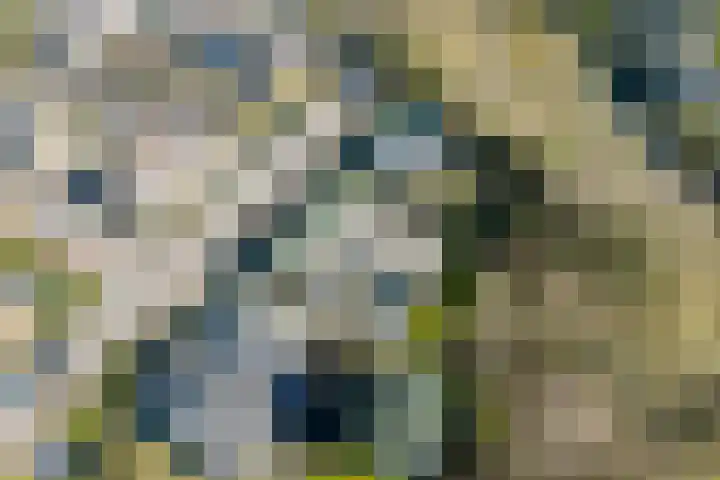 Bisschopsberg 4 Zoetermeer thumbnail 56