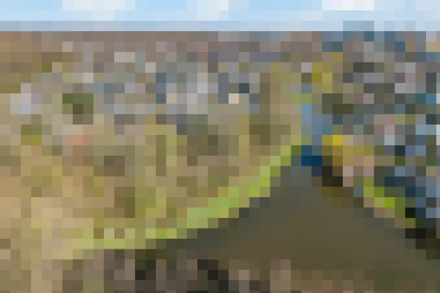 Bisschopsberg 4 Zoetermeer thumbnail 57