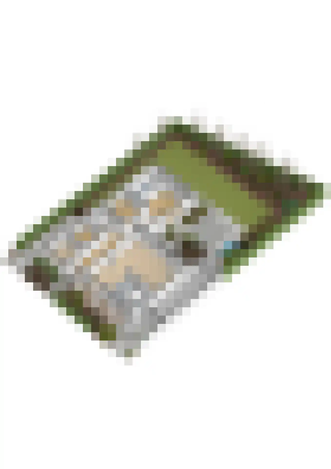 Bisschopsberg 4 Zoetermeer thumbnail 62