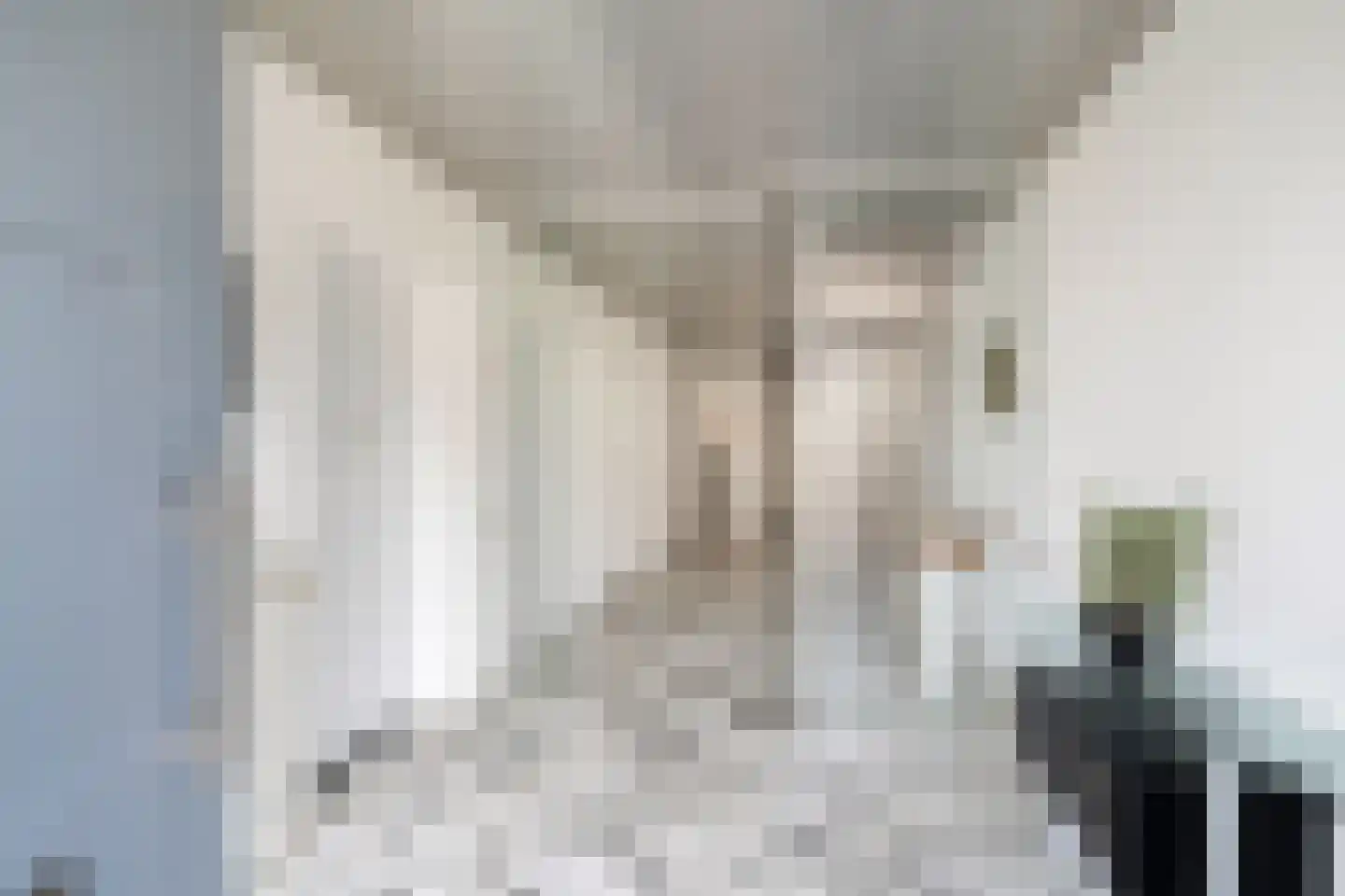 Bisschopsberg 4 Zoetermeer thumbnail 9