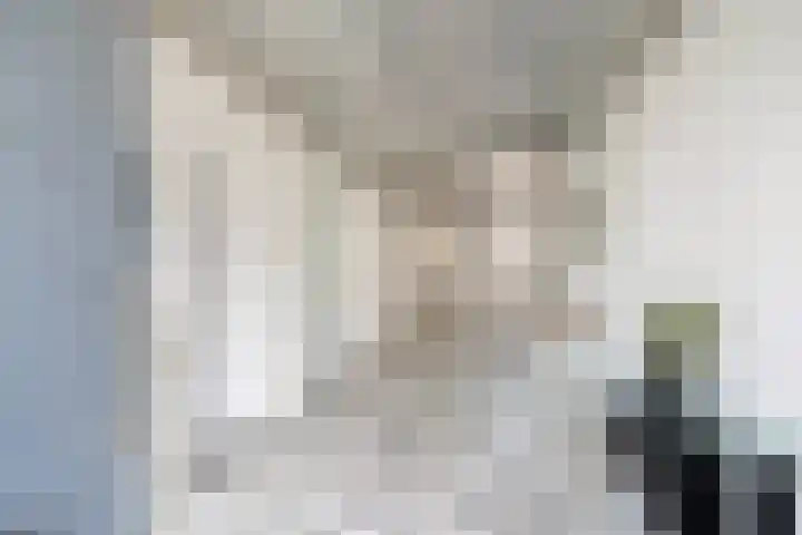 Bisschopsberg 4 Zoetermeer thumbnail 9