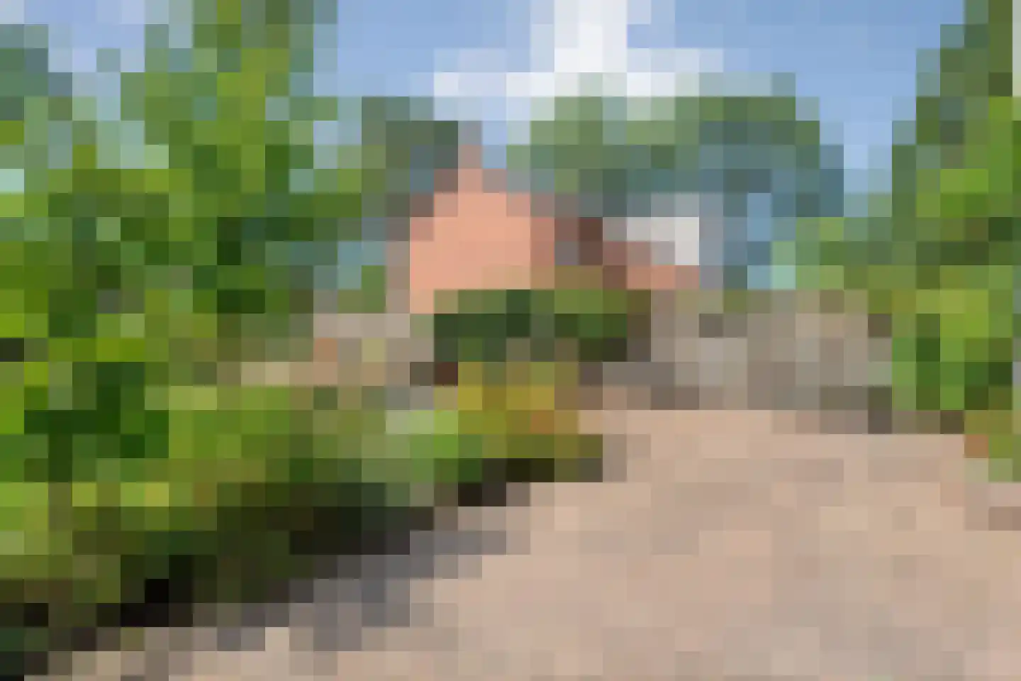 Bisschopsbergweg 13 Havelterberg thumbnail 13