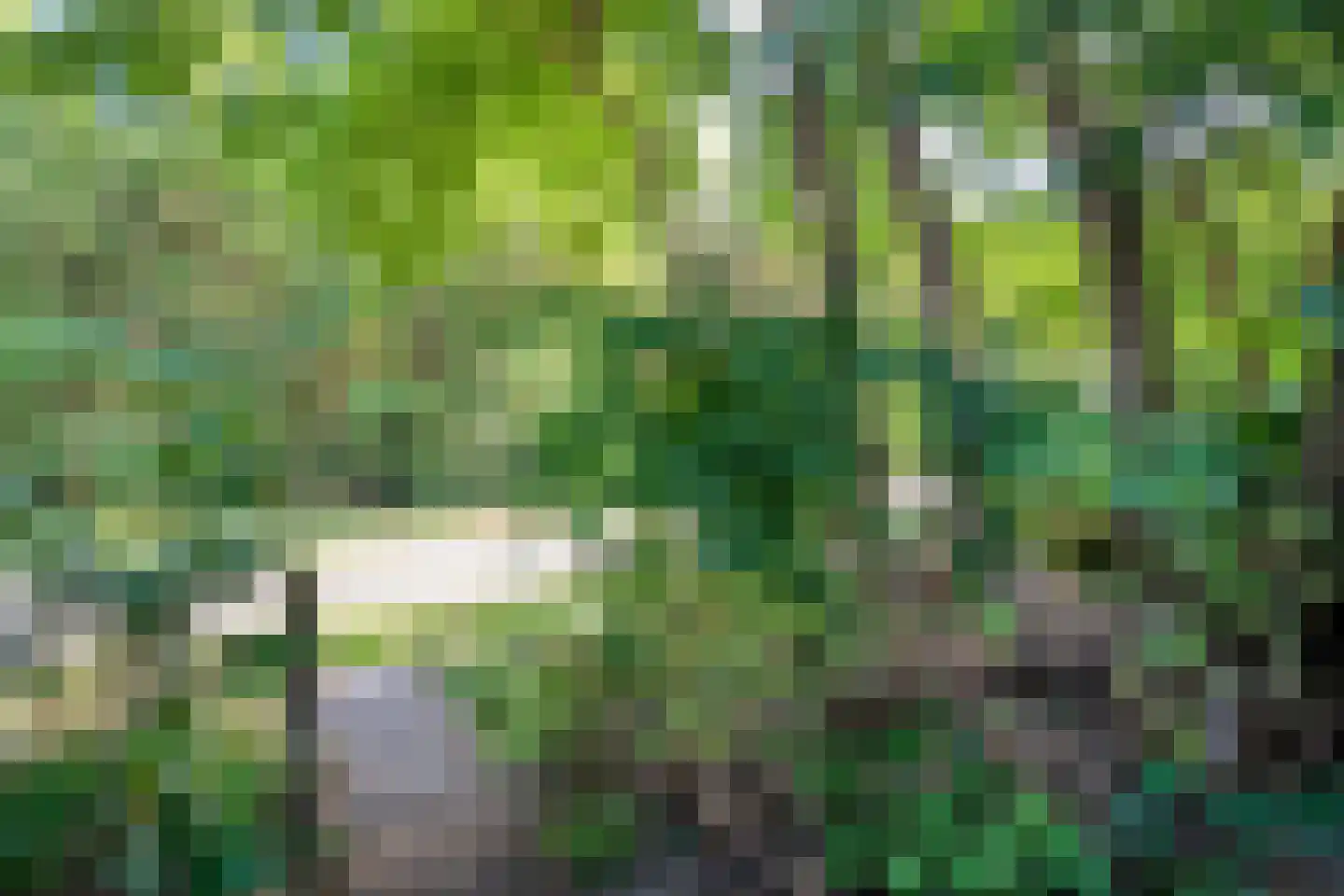 Bisschopsbergweg 13 Havelterberg thumbnail 63