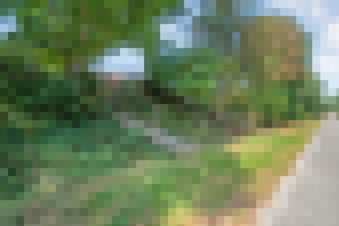 Bisschopsbergweg 13 Havelterberg thumbnail 65