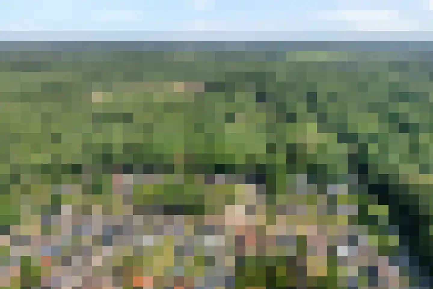 Bisschopsbergweg 13 Havelterberg thumbnail 7