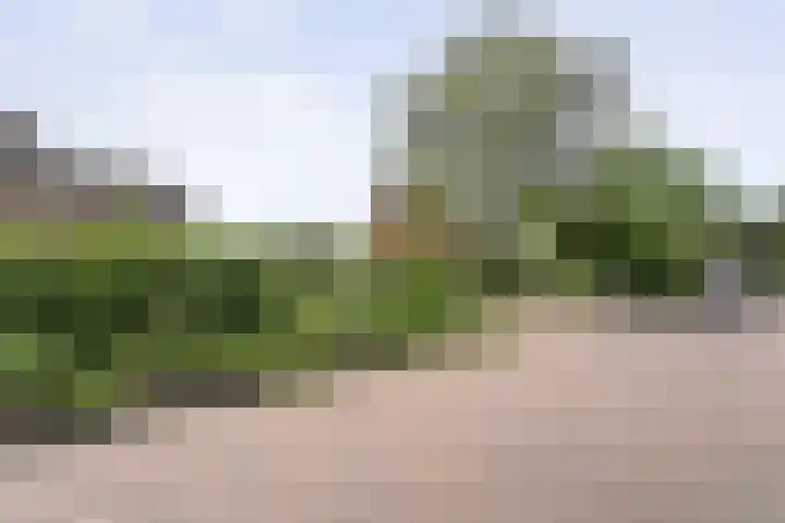 Bisschopsbergweg 20 Havelterberg thumbnail 39