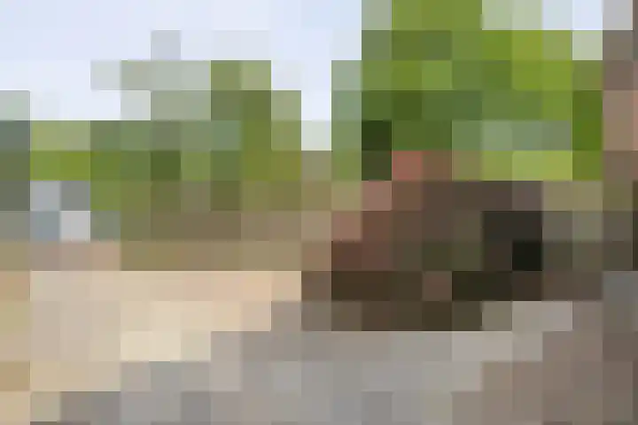 Bisschopsbergweg 20 Havelterberg thumbnail 40