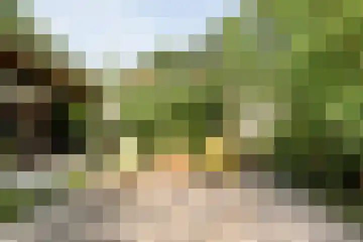 Bisschopsbergweg 23 Havelterberg thumbnail 36