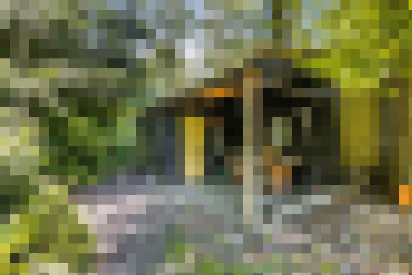 Bisschopsbergweg 35 Havelterberg thumbnail 43