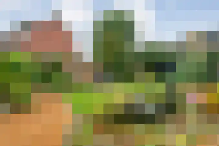 Bisschopsbergweg 43 Havelterberg thumbnail 38