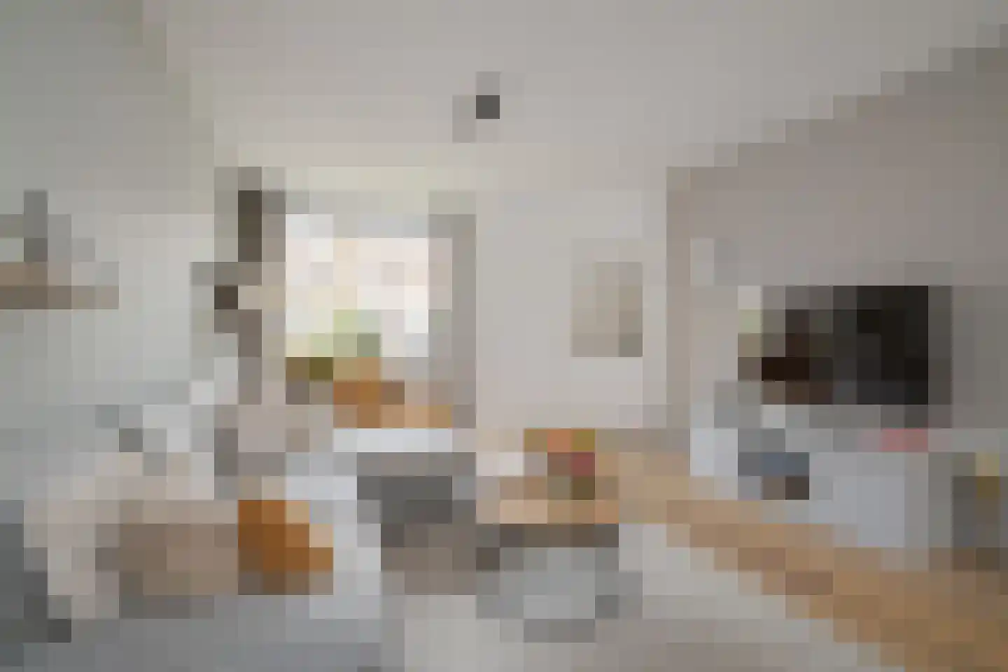 Bisschopshoeve 111 Breda thumbnail 12