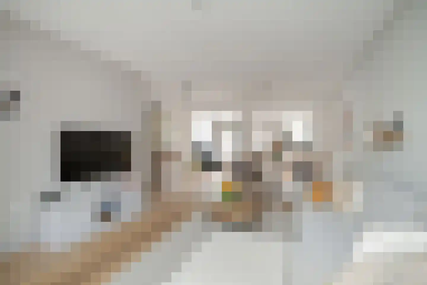 Bisschopshoeve 111 Breda thumbnail 14