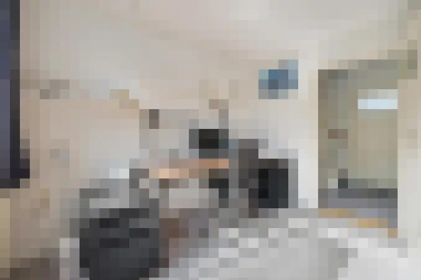 Bisschopshoeve 112 Breda thumbnail 33