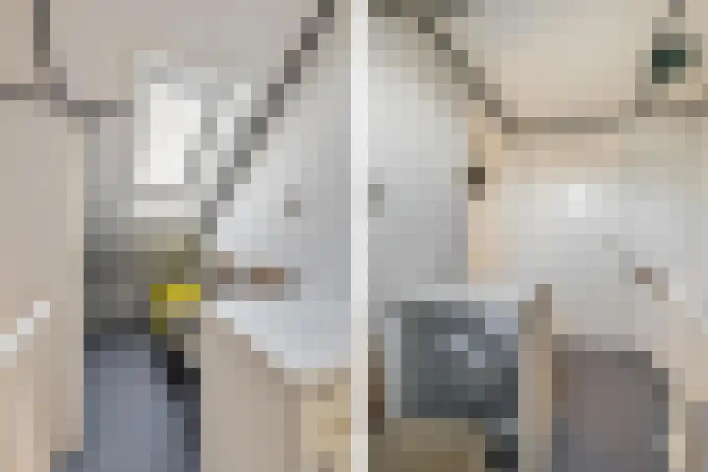 Bisschopshoeve 112 Breda thumbnail 39