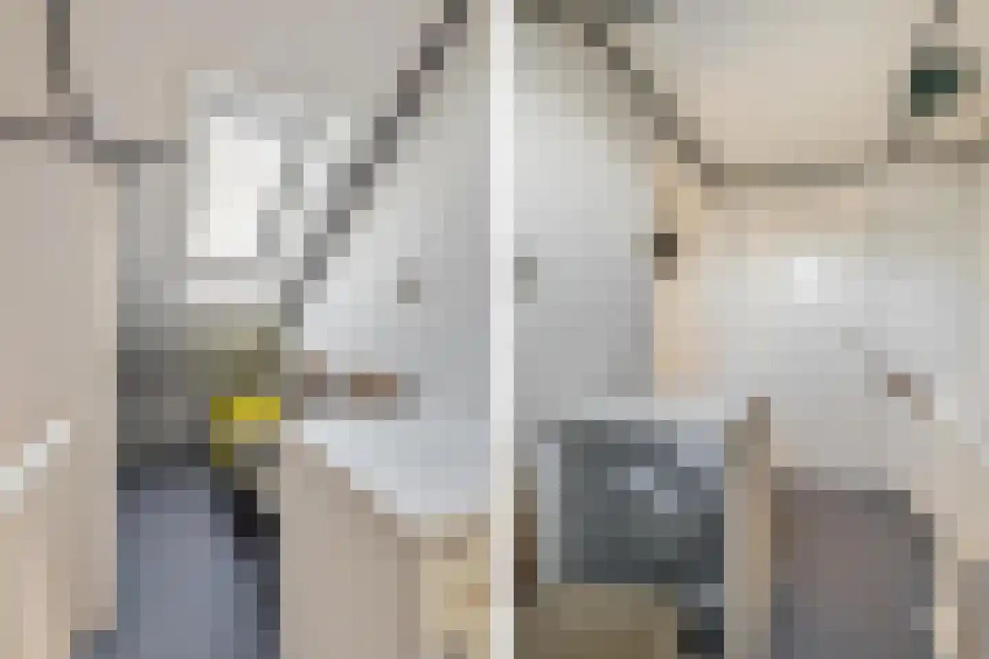 Bisschopshoeve 112 Breda thumbnail 39