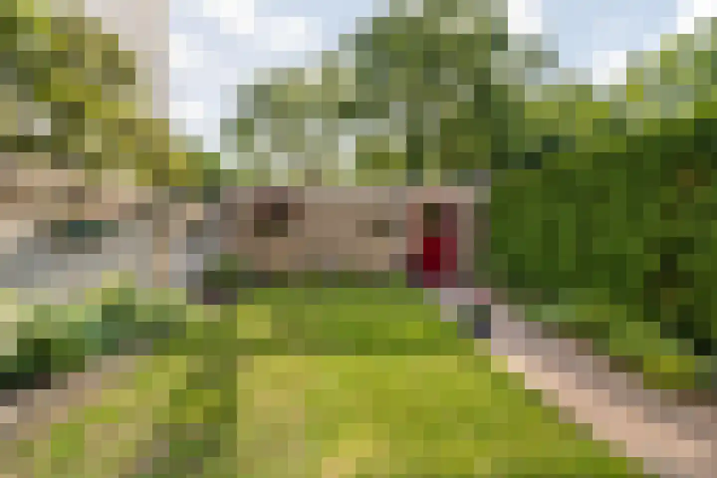 Bisschopshoeve 112 Breda thumbnail 47