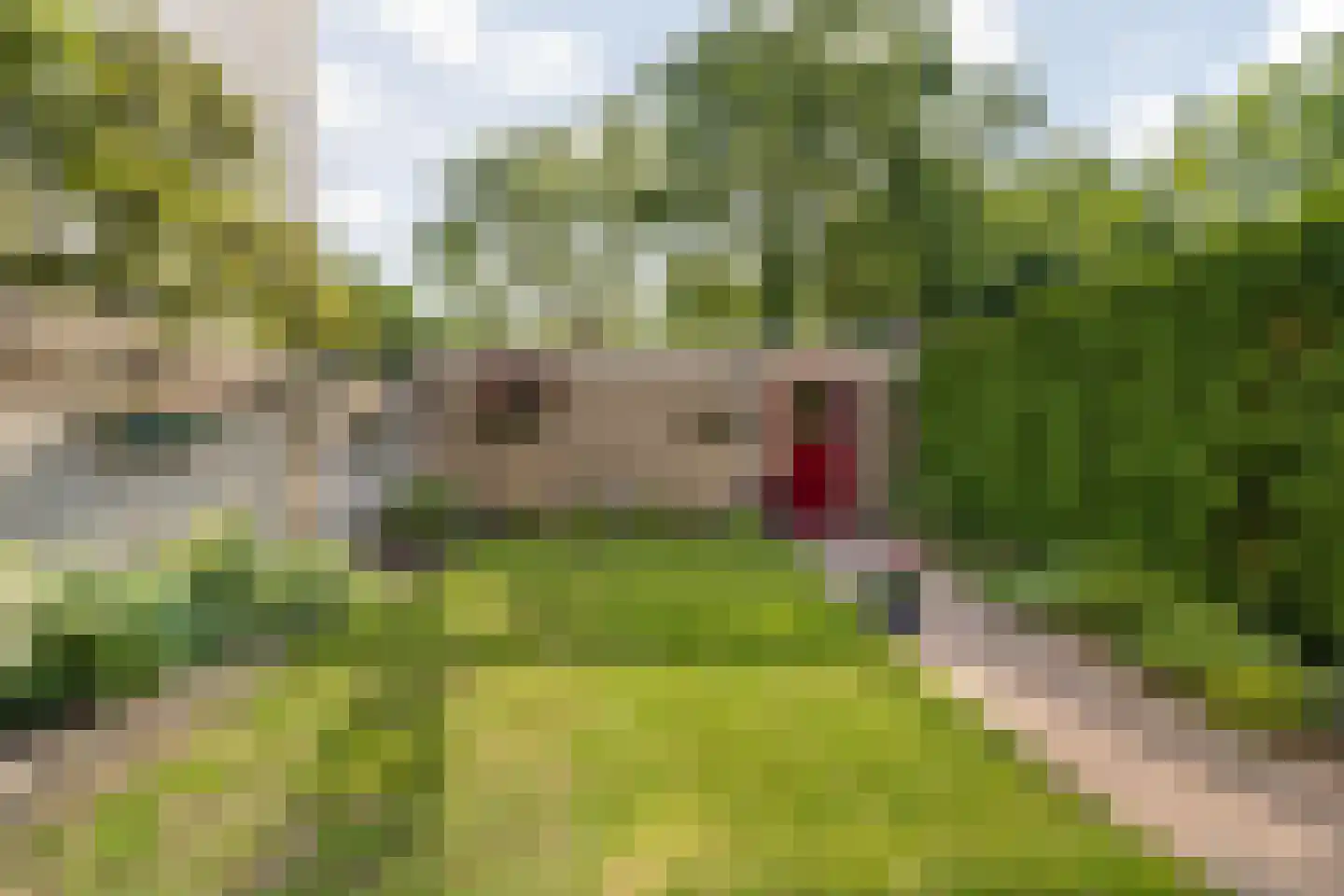 Bisschopshoeve 112 Breda thumbnail 47
