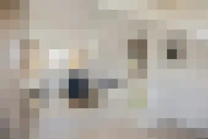 Bisschopshoeve 113 Breda thumbnail 28