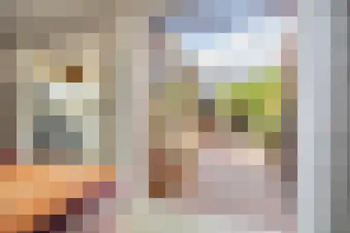 Bisschopshoeve 113 Breda thumbnail 30