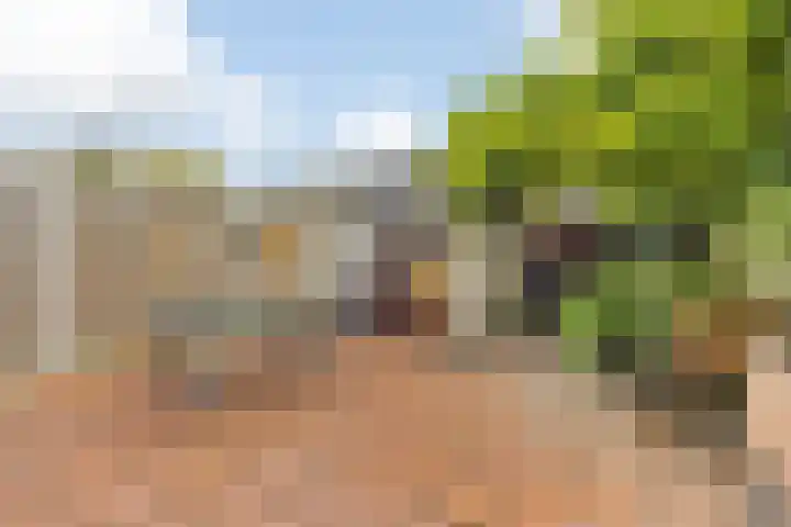 Bisschopshoeve 113 Breda thumbnail 32