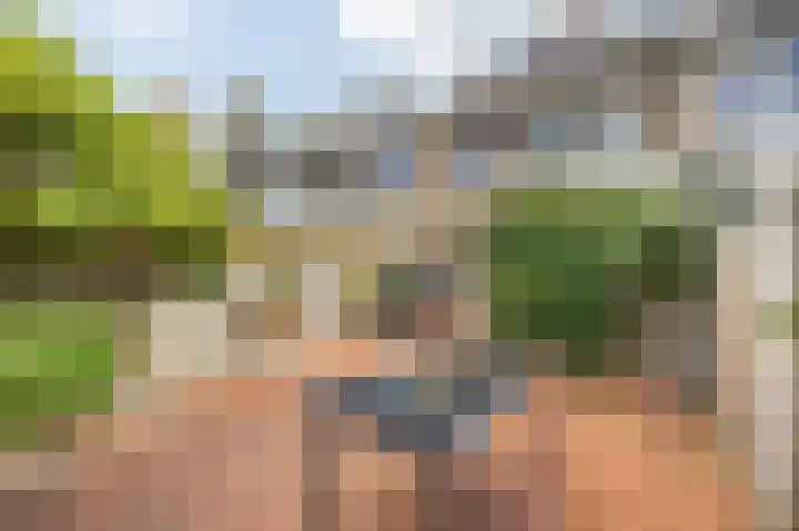 Bisschopshoeve 113 Breda thumbnail 33