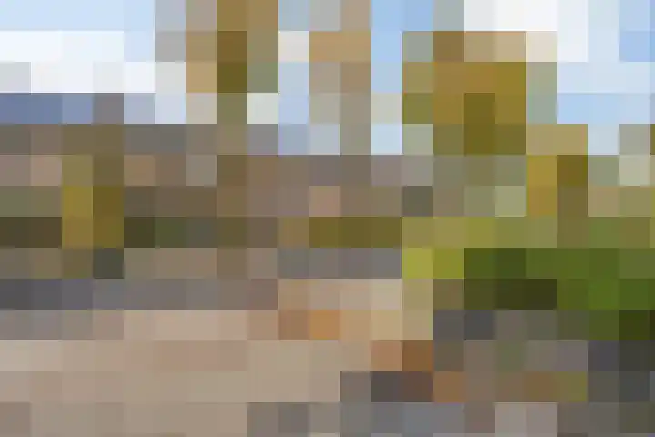 Bisschopshoeve 113 Breda thumbnail 36